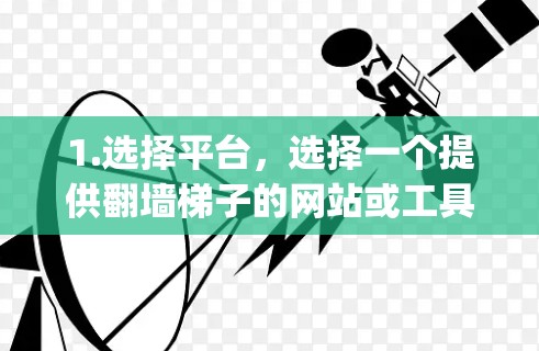 1.选择平台，选择一个提供翻墙梯子的网站或工具，如NetNest、Mirrorpost、NetMirror等