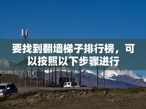 要找到翻墙梯子排行榜，可以按照以下步骤进行