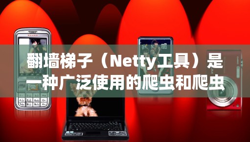 翻墙梯子（Netty工具）是一种广泛使用的爬虫和爬虫工具，用于在互联网中爬取目标网站的资源。翻墙梯子可以帮助用户在互联网被封锁或被限制的情况下，获取所需的信息。以下是关于翻墙梯子的热门推荐和常见问题