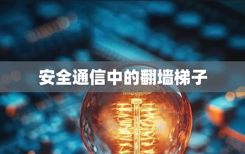 安全通信中的翻墙梯子