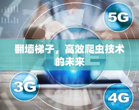 翻墙梯子，高效爬虫技术的未来