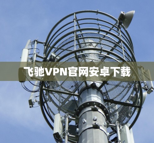 飞驰VPN官网安卓下载 飞驰VPN官网安卓下载