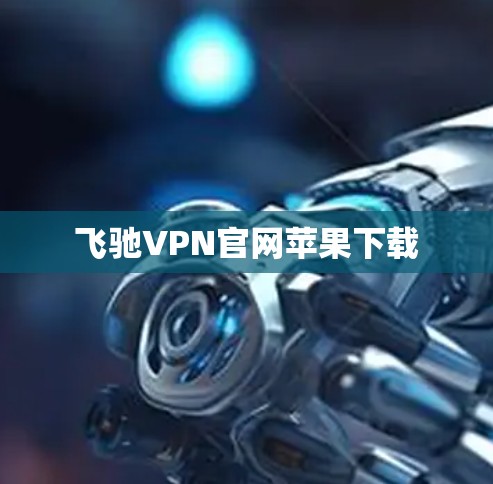 飞驰VPN官网苹果下载
