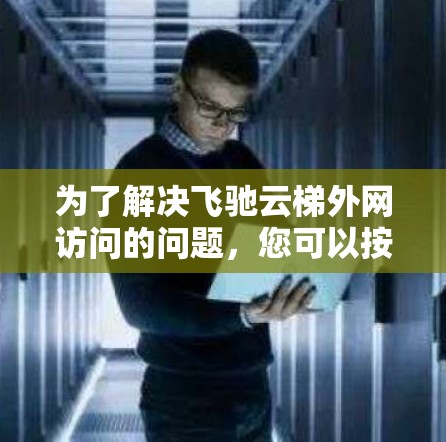 为了解决飞驰云梯外网访问的问题，您可以按照以下步骤操作