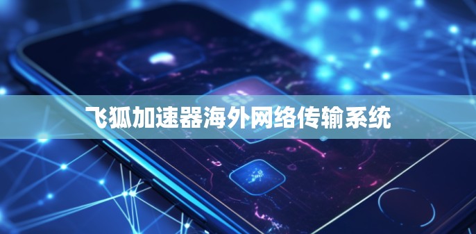 飞狐加速器海外网络传输系统