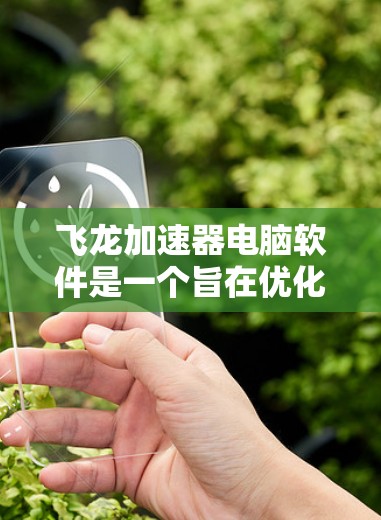飞龙加速器电脑软件是一个旨在优化电脑性能的工具，主要通过调整加速参数来提升网页加载速度和下载效率。以下是关于该软件的详细信息