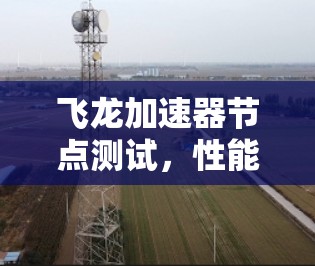 飞龙加速器节点测试，性能提升与用户满意度提升