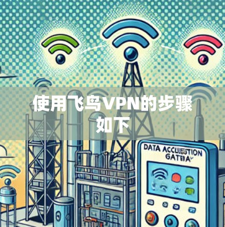 使用飞鸟VPN的步骤如下