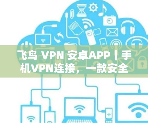 飞鸟 VPN 安卓APP｜手机VPN连接，一款安全可靠的专业解决方案