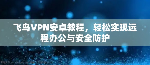 飞鸟VPN安卓教程，轻松实现远程办公与安全防护