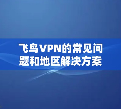 飞鸟VPN的常见问题和地区解决方案如下