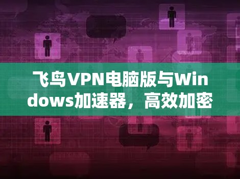 飞鸟VPN电脑版与Windows加速器，高效加密传输的解决方案
