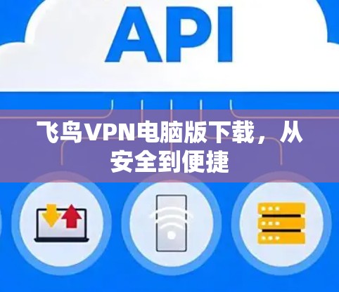 飞鸟VPN电脑版下载，从安全到便捷
