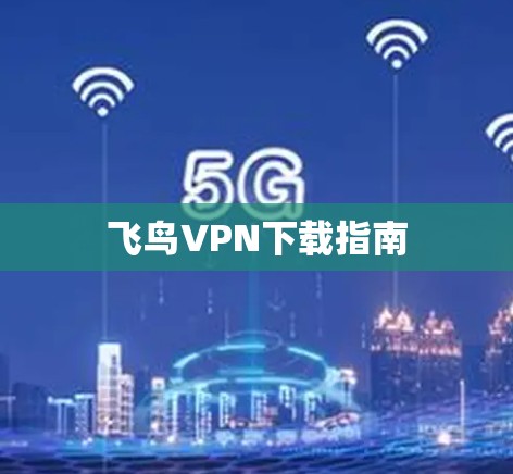 飞鸟VPN下载指南
