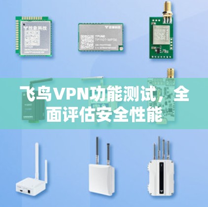 飞鸟VPN功能测试，全面评估安全性能