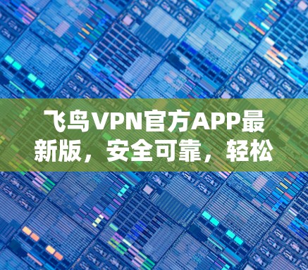 飞鸟VPN官方APP最新版，安全可靠，轻松解密！