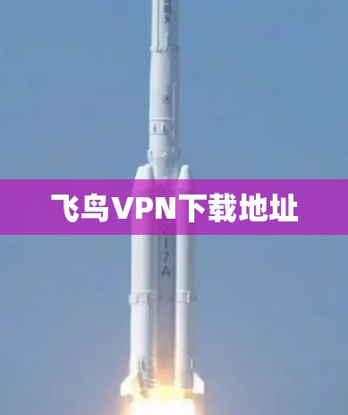 飞鸟VPN下载地址