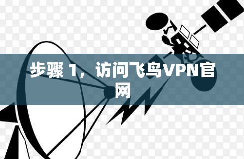 步骤 1，访问飞鸟VPN官网