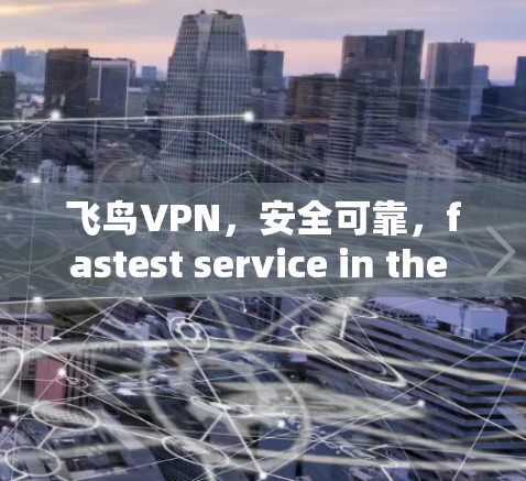 飞鸟VPN，安全可靠，fastest service in the market