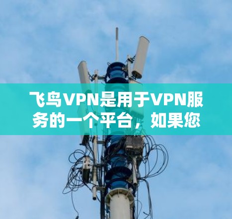 飞鸟VPN是用于VPN服务的一个平台，如果您需要科学上网或访问海外服务器，建议根据自己的具体情况来选择合适的VPN服务。以下是一些关键点和建议，帮助您更好地使用飞鸟VPN
