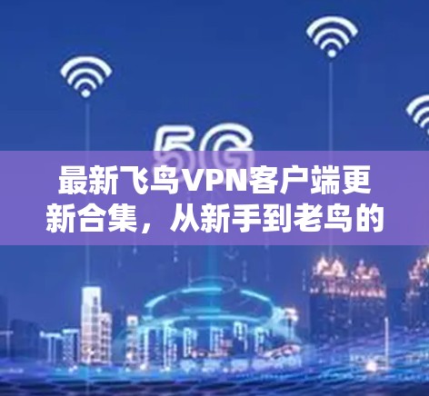 最新飞鸟VPN客户端更新合集，从新手到老鸟的最佳选择