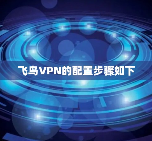 飞鸟VPN的配置步骤如下