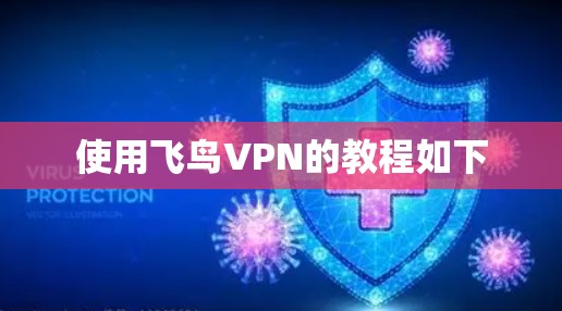 使用飞鸟VPN的教程如下