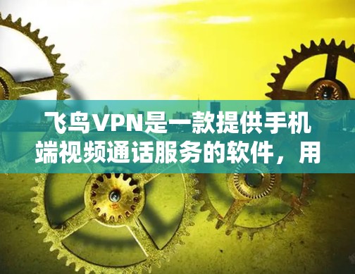 飞鸟VPN是一款提供手机端视频通话服务的软件，用户可以通过手机连接到飞鸟的服务器，然后进行视频通话。以下是一些关于如何使用飞鸟VPN手机的教程