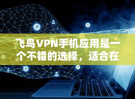 飞鸟VPN手机应用是一个不错的选择，适合在不同地点流汗时使用。以下是对该应用的详细总结和建议