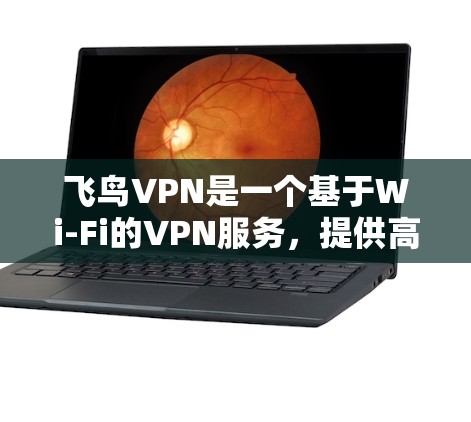 飞鸟VPN是一个基于Wi-Fi的VPN服务，提供高速的数据传输和加密传输。以下是对飞鸟VPN的详细介绍