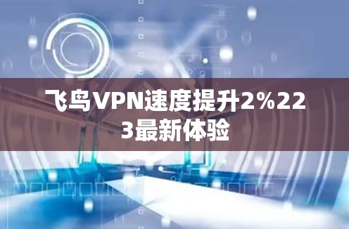 飞鸟VPN速度提升2%223最新体验