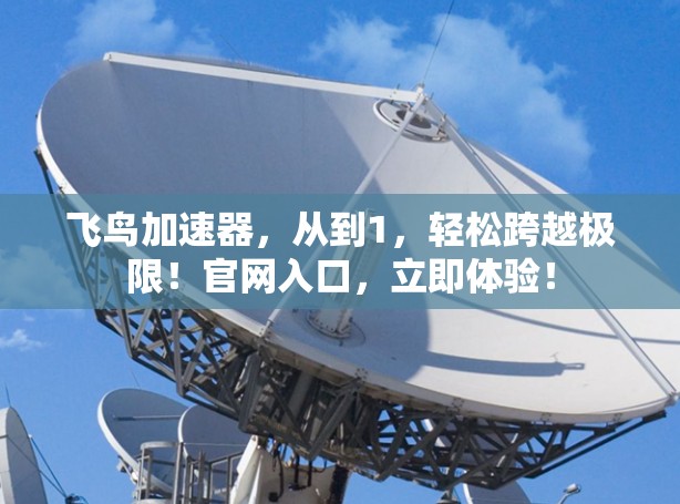 飞鸟加速器，从到1，轻松跨越极限！官网入口，立即体验！