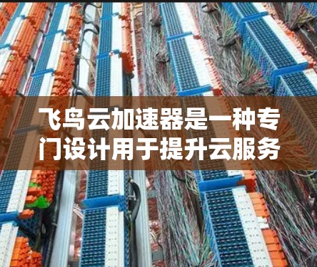 飞鸟云加速器是一种专门设计用于提升云服务器性能的加速工具，通常支持高速节点功能。以下是对飞鸟云加速器高速节点的详细介绍