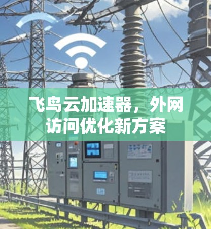 飞鸟云加速器，外网访问优化新方案