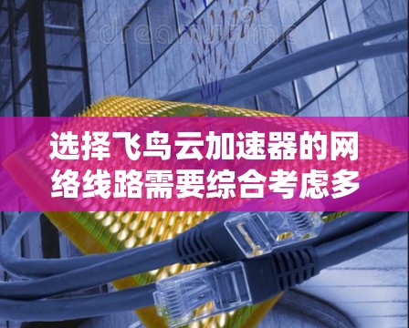 选择飞鸟云加速器的网络线路需要综合考虑多个因素，包括网络架构、接口类型、网络环境、防火墙、端口安全、带宽需求以及预算。以下是详细的步骤指南
