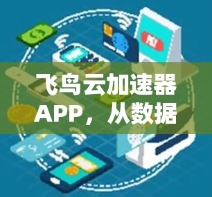 飞鸟云加速器APP，从数据传输到用户体验的高效升级