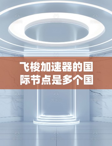 飞梭加速器的国际节点是多个国际组织和机构协同合作的关键组织，共同推动其研究、开发和推广。以下是主要的国际节点