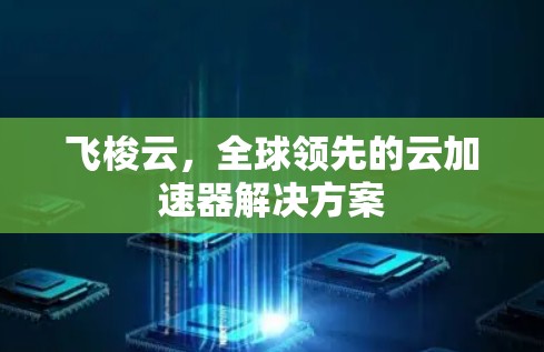 飞梭云，全球领先的云加速器解决方案