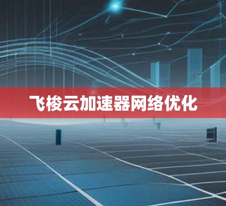 飞梭云加速器网络优化