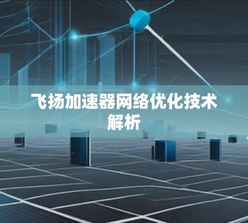 飞扬加速器网络优化技术解析
