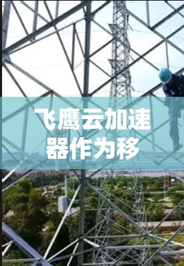 飞鹰云加速器作为移动设备与互联网之间的桥梁，其全球网络线路情况如下