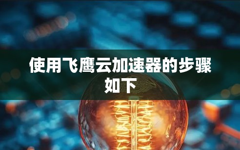 使用飞鹰云加速器的步骤如下