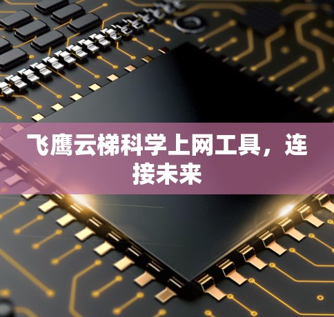 飞鹰云梯科学上网工具，连接未来