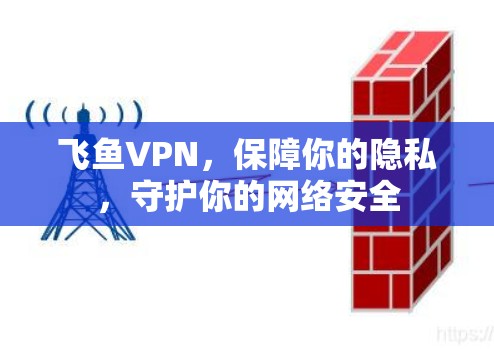 飞鱼VPN，保障你的隐私，守护你的网络安全