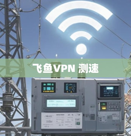 飞鱼VPN 测速