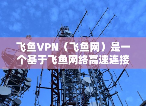 飞鱼VPN（飞鱼网）是一个基于飞鱼网络高速连接的VPN服务，旨在为用户提供安全、可靠的网络连接。为了评估飞鱼VPN的速度测试和节点质量，可以按照以下步骤进行分析