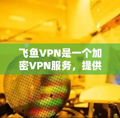 飞鱼VPN是一个加密VPN服务，提供快速连接和强加密，适合那些希望快速连接而又希望保护隐私的人。如果你想测试飞鱼VPN的网络连接和安全性，可以按照以下步骤操作