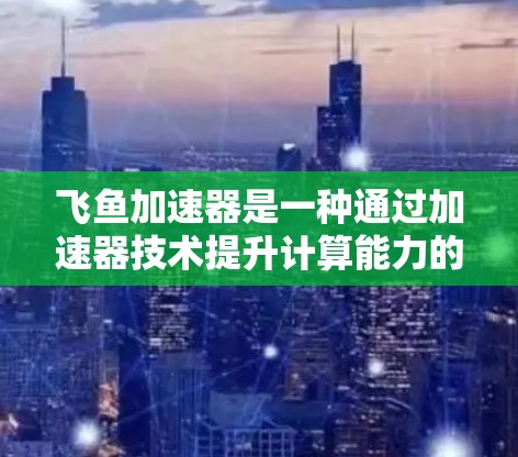 飞鱼加速器是一种通过加速器技术提升计算能力的设备，主要用于科学计算、实时数据分析、数据流处理等领域。如果您计划进行飞鱼加速器海外访问，以下是一些关键点和建议