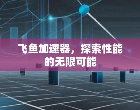 飞鱼加速器，探索性能的无限可能
