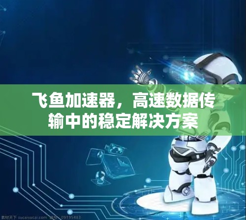 飞鱼加速器，高速数据传输中的稳定解决方案